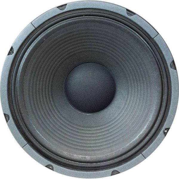 Jensen JC12-100RP Raptor 100 12 Inch 100-Watt 8 Ohm Guitar Speaker Online Hot Sale